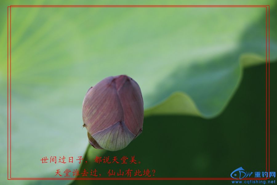 13˵ (12).jpg