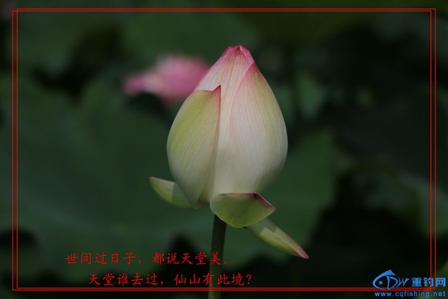 13˵ (15).jpg