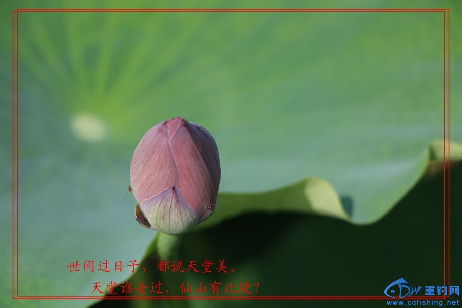 13˵ (13).jpg