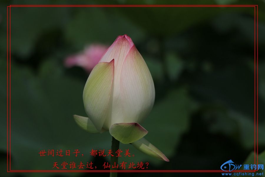13˵ (14).jpg