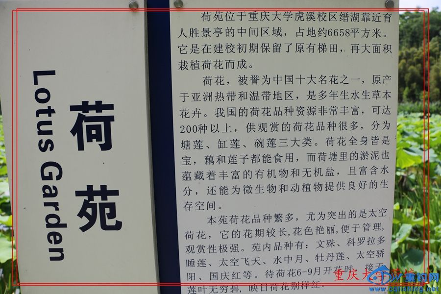 1ѧ (2).jpg