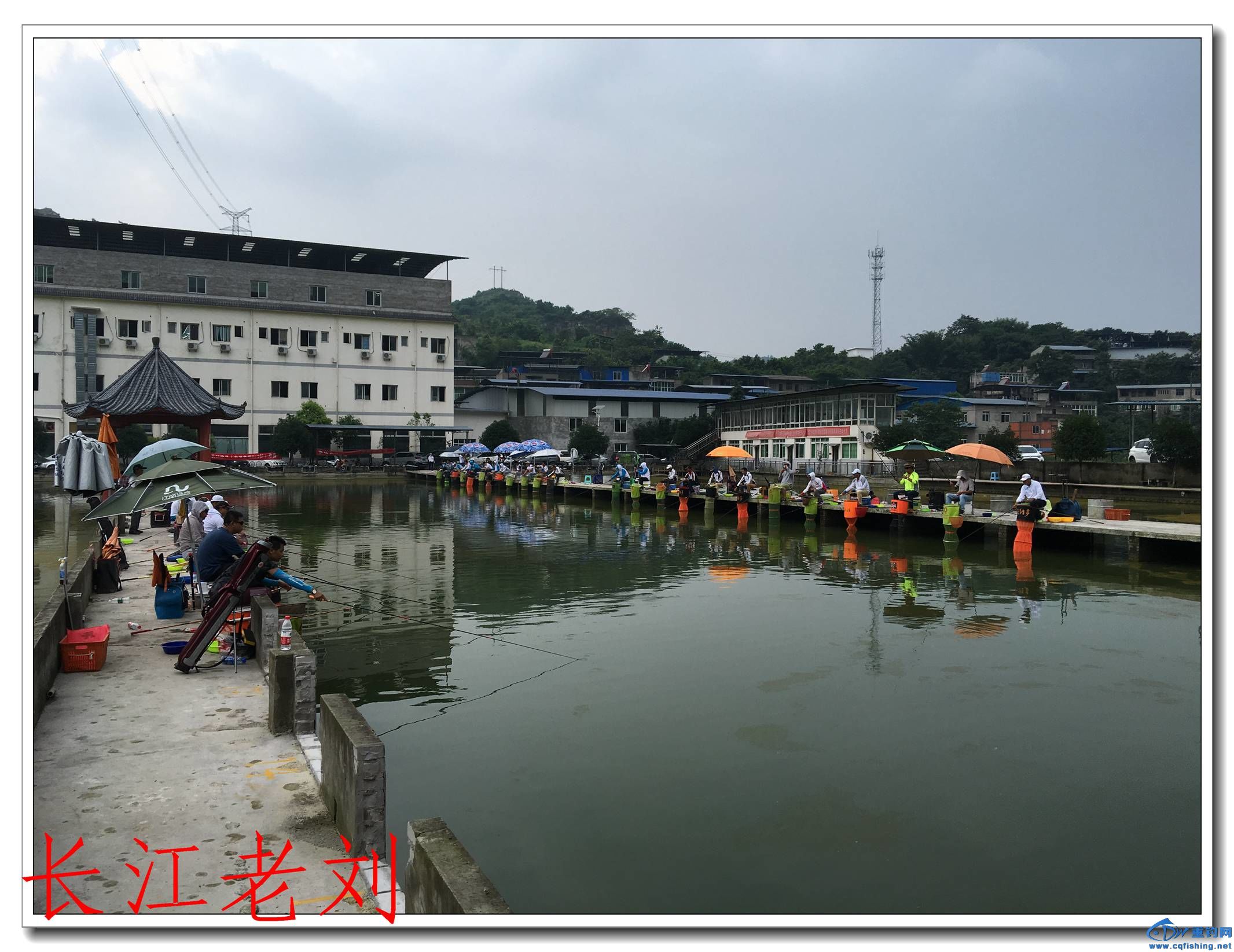 IMG_2720.jpg