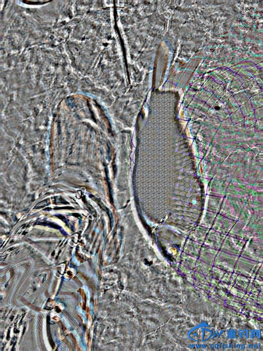 620.jpg