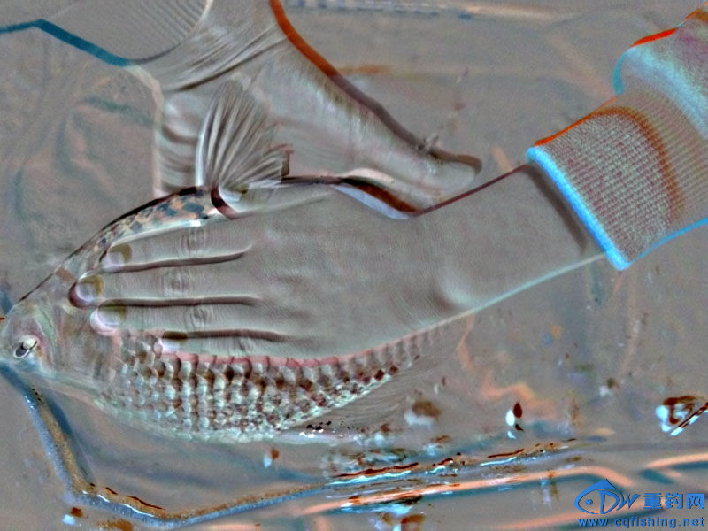 P60.jpg