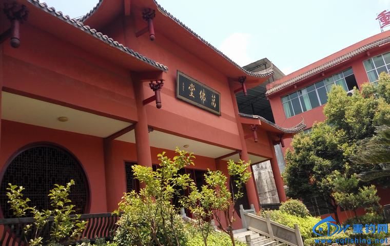 IMG_20160709_121630.jpg