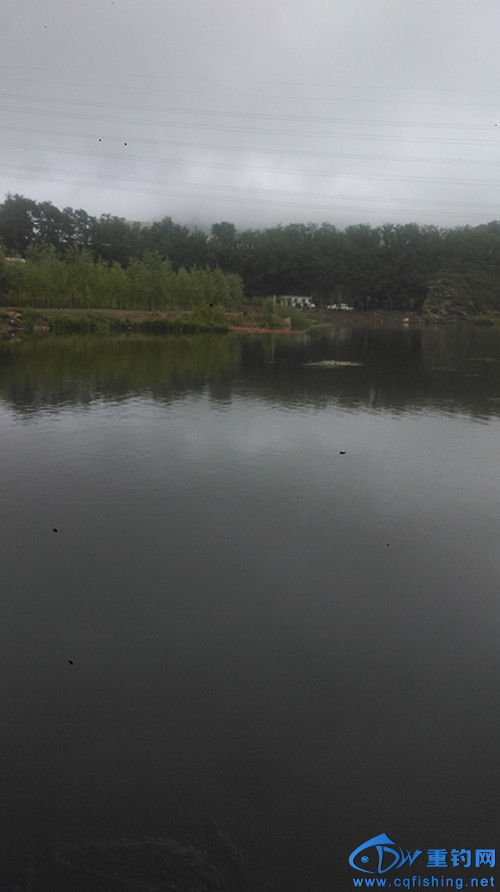 IMAG0662_.jpg