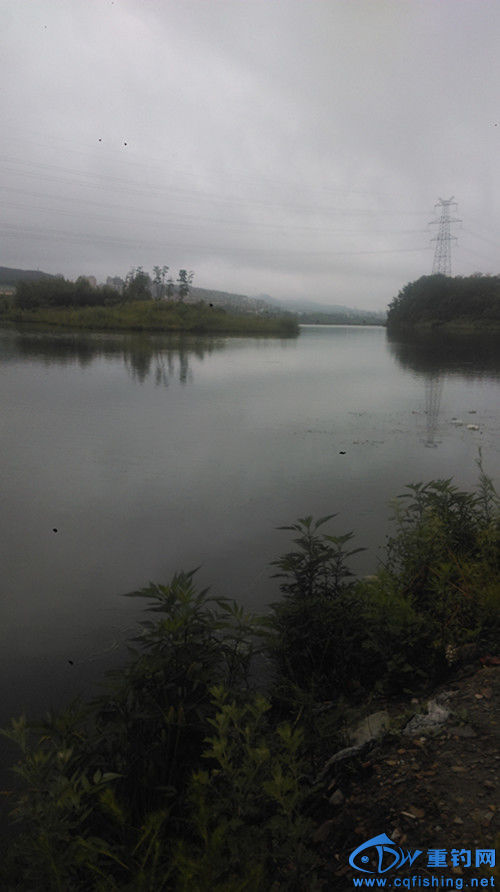 IMAG0663_.jpg