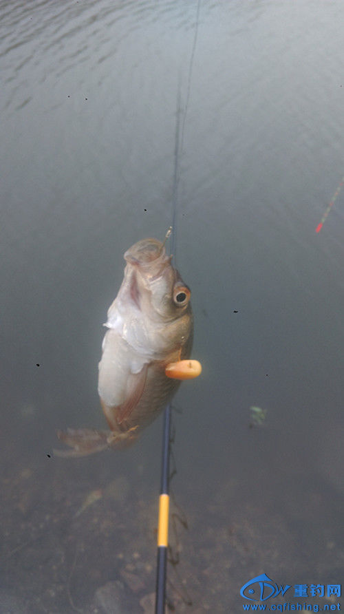 IMAG0664_.jpg