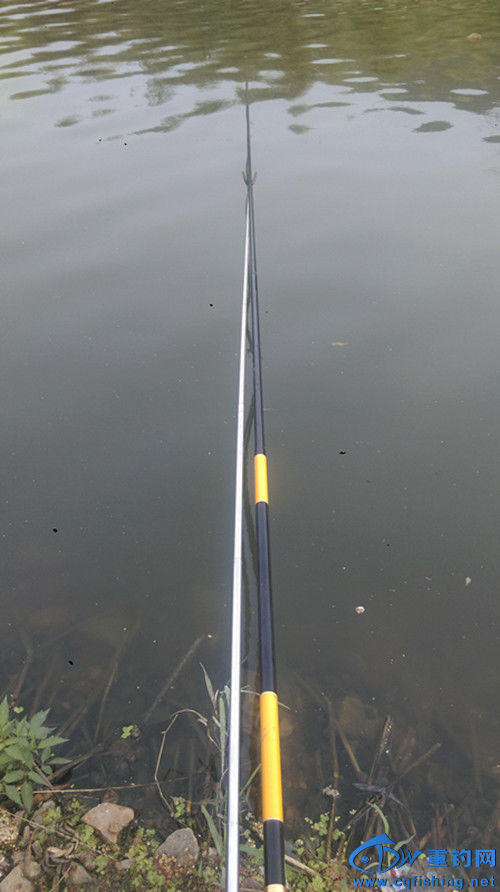 IMAG0670_.jpg