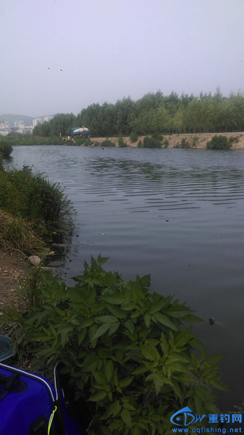 IMAG0671_.jpg