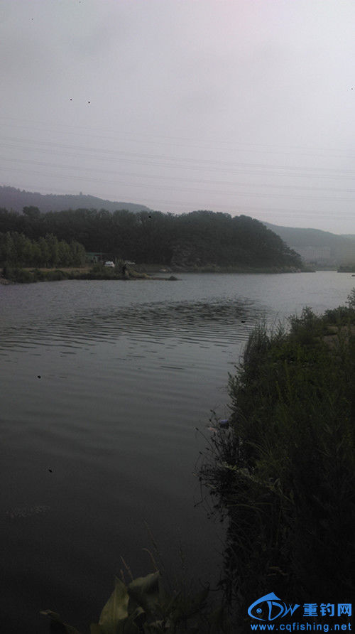 IMAG0672_.jpg