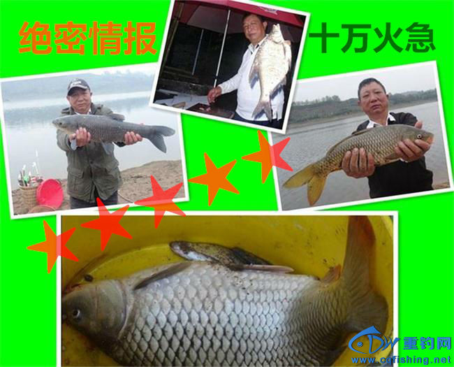 68-看图王_看图