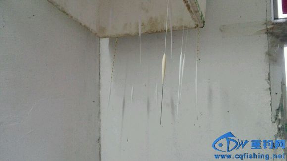 20160713_104237_020.jpg