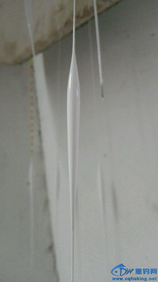 20160713_104237_018.jpg