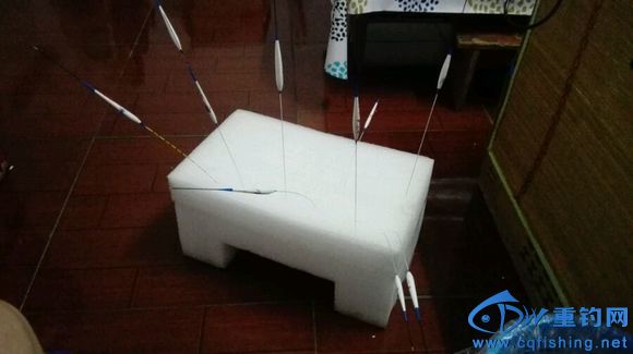 20160713_104237_024.jpg