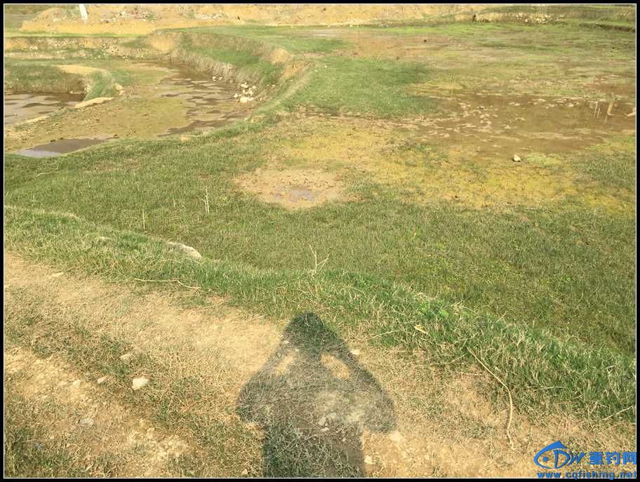 26.JPG