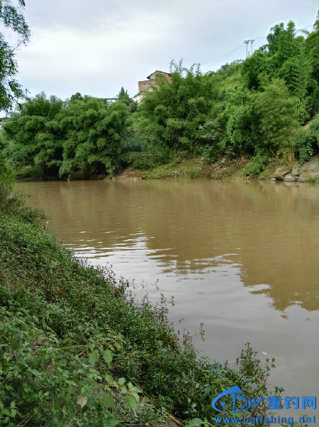 IMG_20160707_074016.jpg