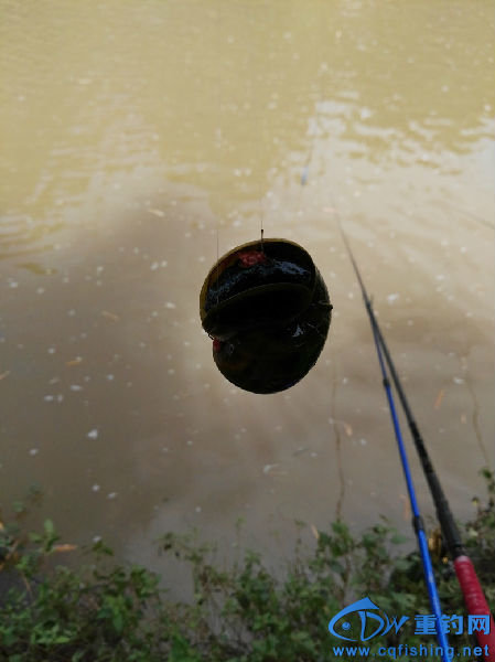 IMG_20160707_114204.jpg