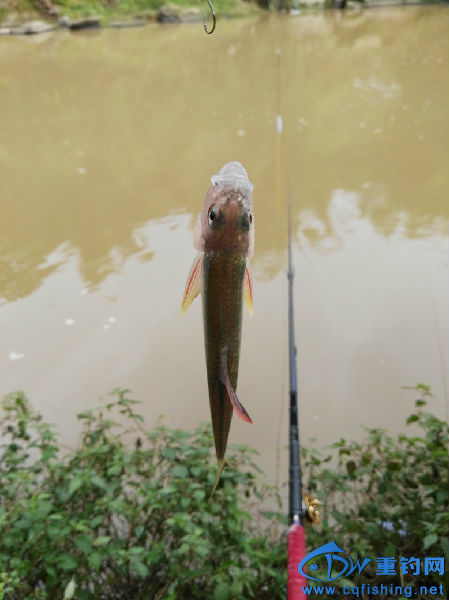 IMG_20160707_080641.jpg