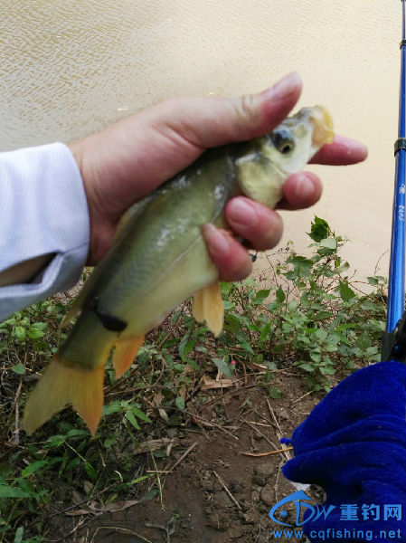 IMG_20160707_115940.jpg