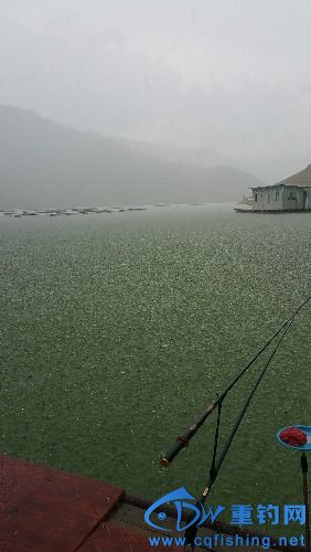 20160728_144744.jpg