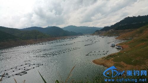 20160728_115903.jpg