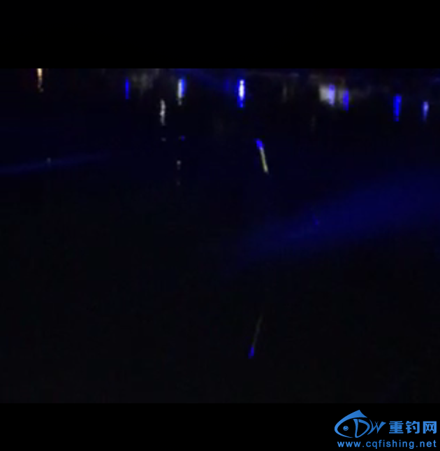 夜钓6.png