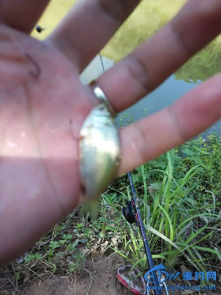 IMG_20160730_103046.jpg