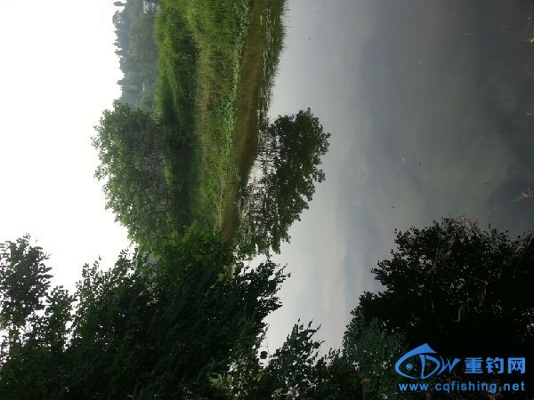 20160614_092340.jpg