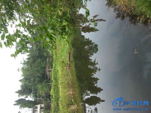 20160614_092344.jpg