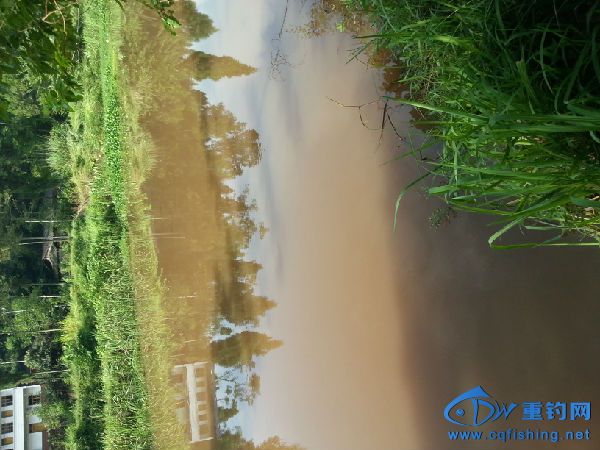 20160804_085141.jpg