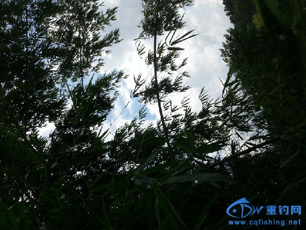 20160804_121554.jpg