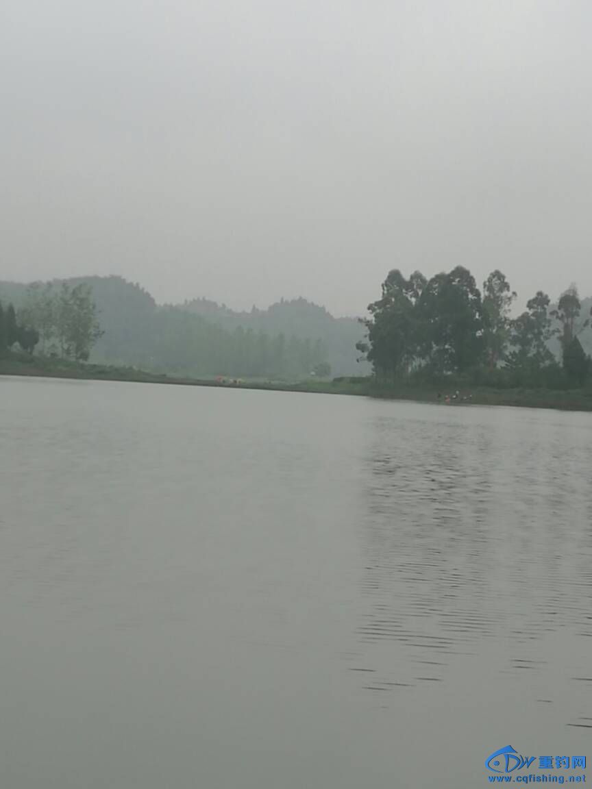 080531n5d77zsvjfvef3ht.jpg