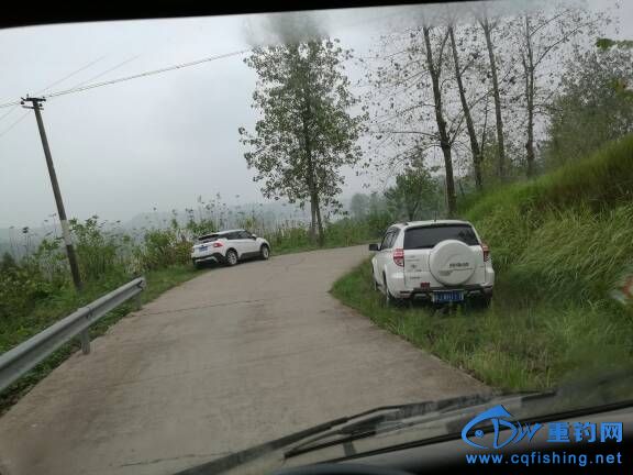 080531nhy5v518hc8q8anq.jpg