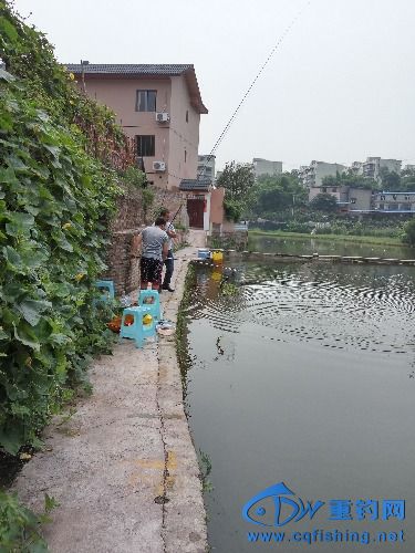 IMG_20160917_114445_HDR.jpg
