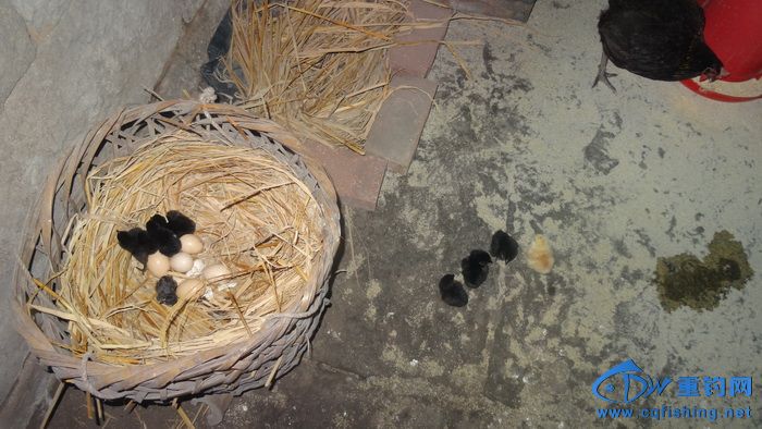 DSC06083_С.JPG