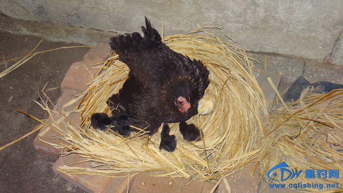 DSC06111_С.JPG