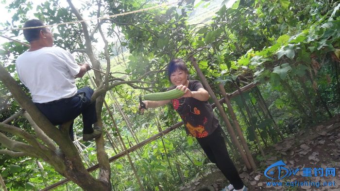 DSC06160_С.JPG