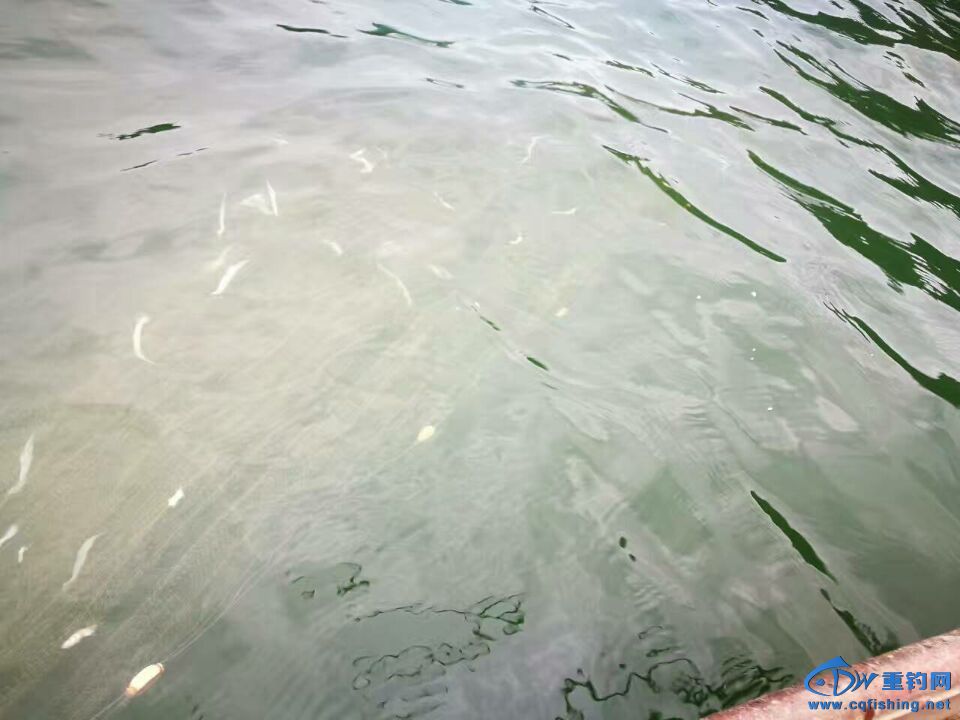 20160919122614_73027.jpg
