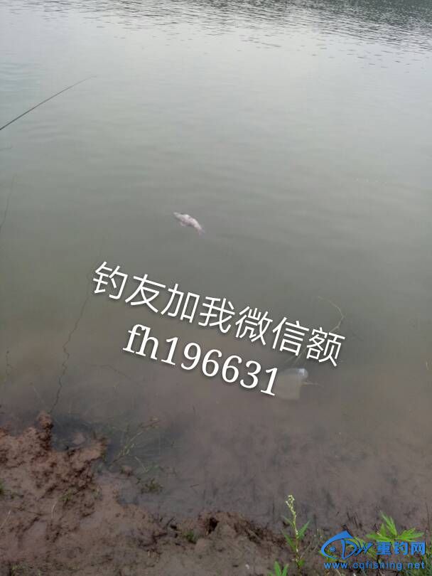 154528n2xuz3b3x3mfoiz9.jpg