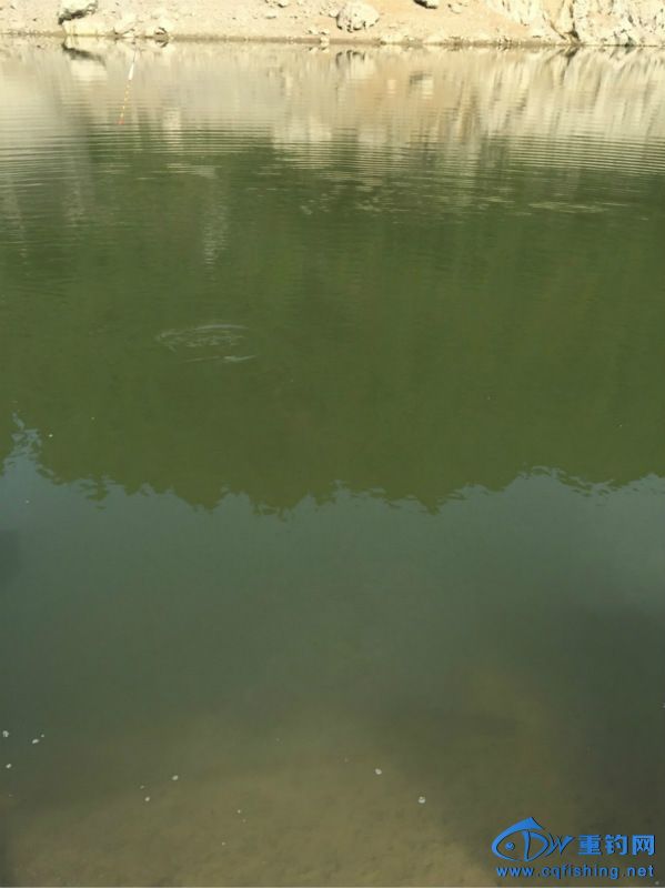 IMG_3805_meitu_12.jpg
