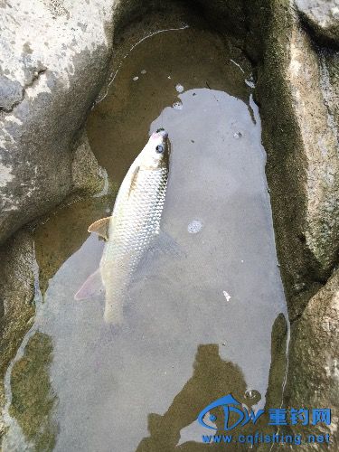 image.jpeg