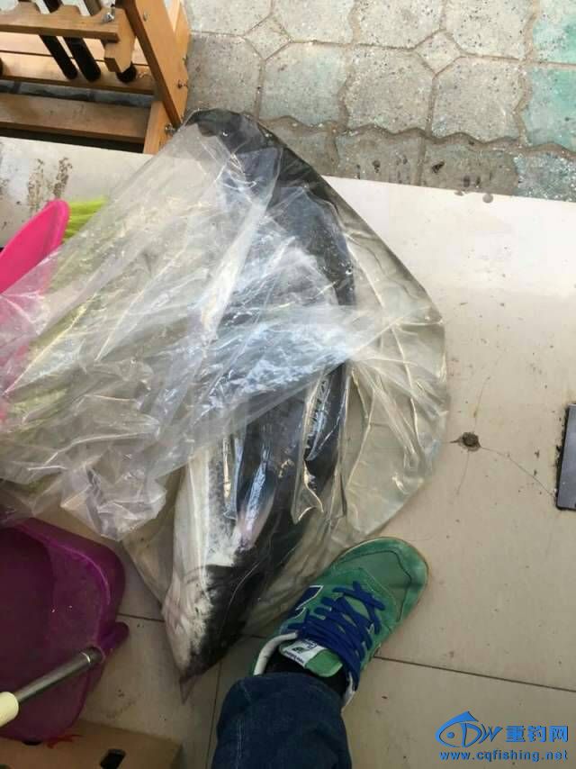 165042l2qc3zcy3jy5v5wc.jpg