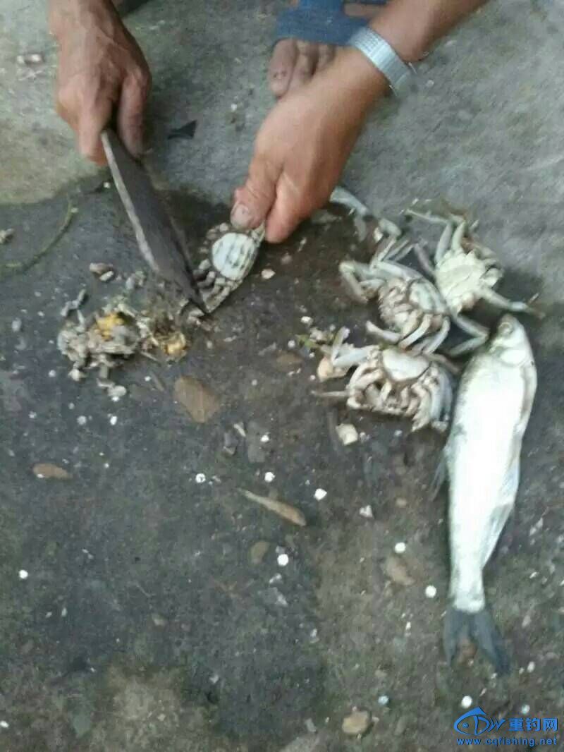 000609g4djg1jfjgj309jd.jpeg