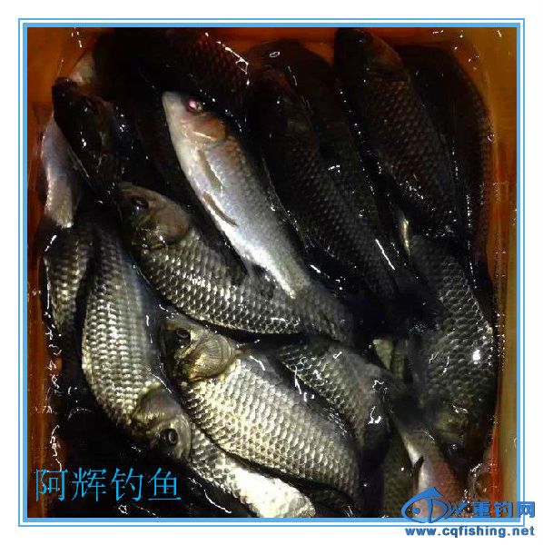 mtxx12_副本.jpg