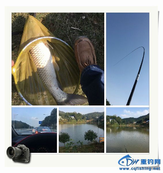 光影魔术手拼