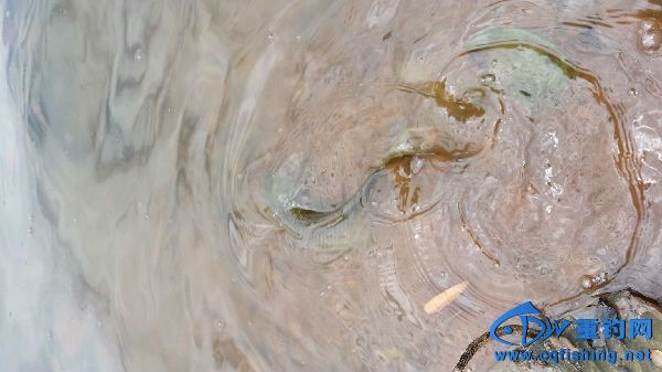 20160602_125033.jpg