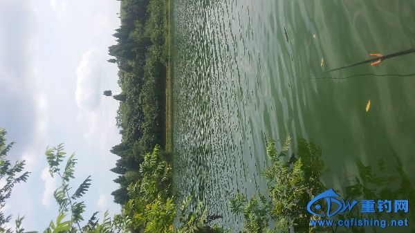 20160724_145921.jpg