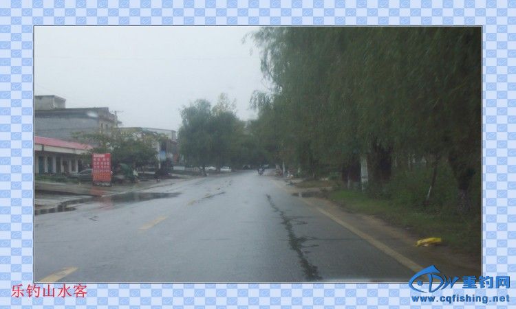 conew_100_8566.jpg