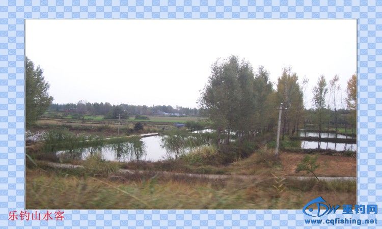 conew_100_8575.jpg